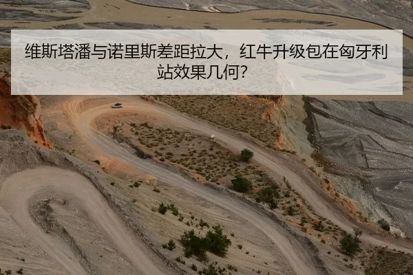 维斯塔潘与诺里斯差距拉大，红牛升级包在匈牙利站效果几何？
