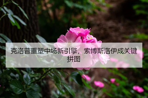 ke-luo-pu-zhong-su-zhong-chang-xin-yin-qing-suo-bo-si-luo-yi-cheng-guan-jian-pin-tu-3-526.jpg