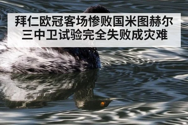 拜仁欧冠客场惨败国米图赫尔三中卫试验完全失败成灾难